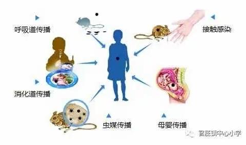 筱村小学秋冬季传染病预防知识宣传