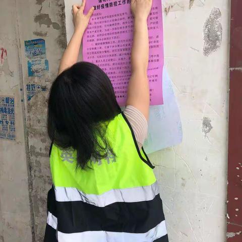 网格中的“萤火虫”