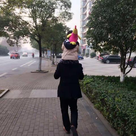 涵涵的快乐假期