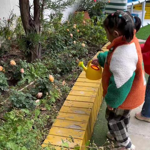 童年清单——-浇水