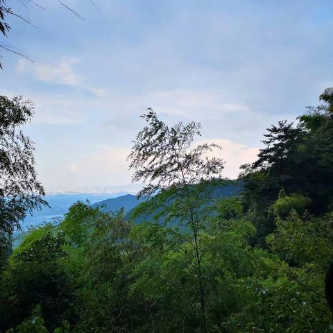 2019夏天浙赣皖自驾游（一）