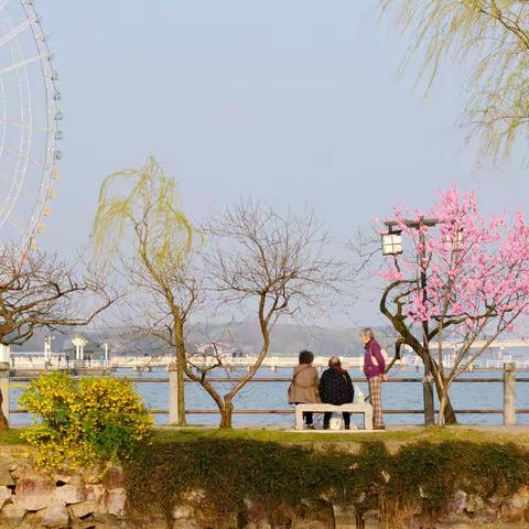 桃之夭夭