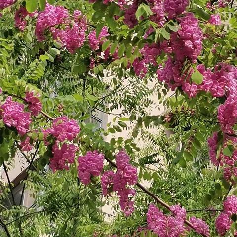 五一假日物业温馨提示