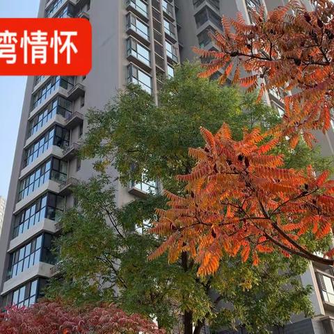 天泽情怀，秋色满园