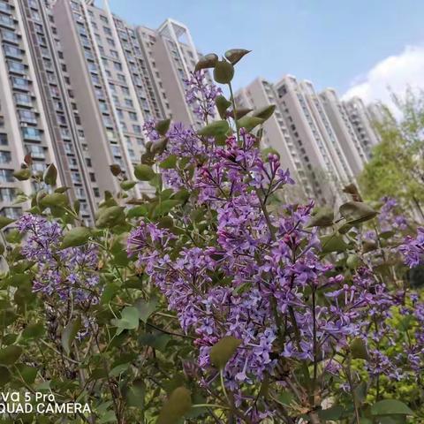 大风天气，温馨提示