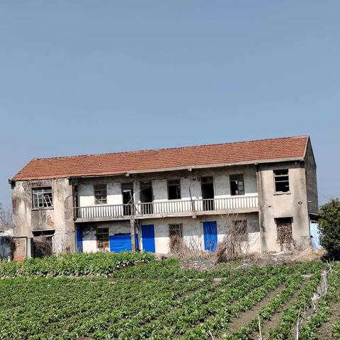 《邂逅知青楼》