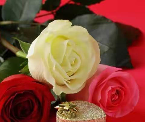 《请收下这束玫瑰》                                                   （图.网络）