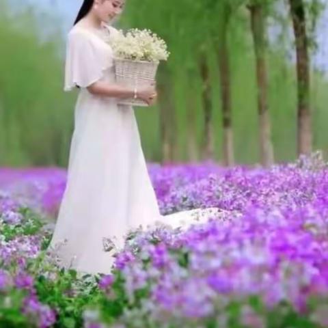 《  剪  不  断……》