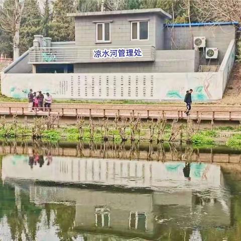 北京凉水河之春 2024.4.15