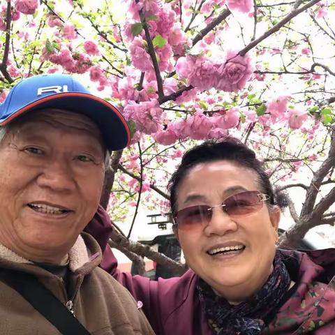 家和园的花季-最美四月天