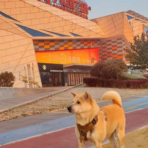 圆梦之旅——旅行随记（2）