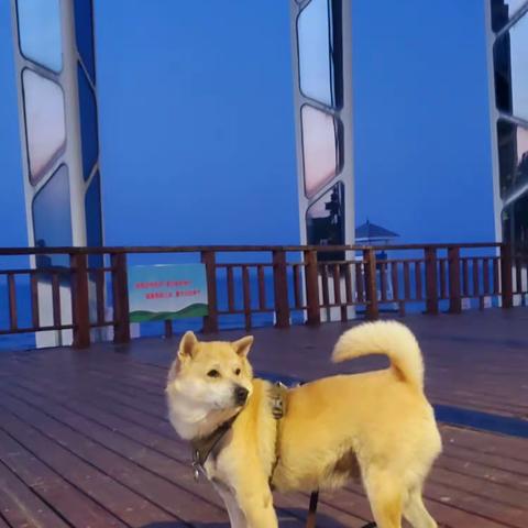 圆梦之旅——旅行随记（3）