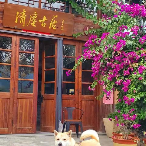 圆梦之旅——旅行随记（15）