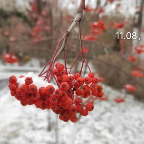 初雪的冬天     最美的相遇——记“国培计划（2021）—县级骨干教师能力提升培训”