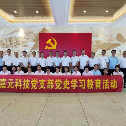 习史思今，砥砺前行----嘉元科技党支部党史学习教育