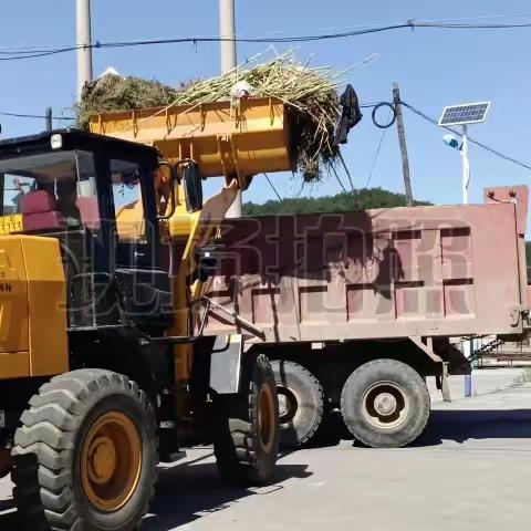 日月岛街道办事处（秋季）乡村垃圾整治工作