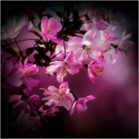 抗战疫情      停课不停学(二十一)