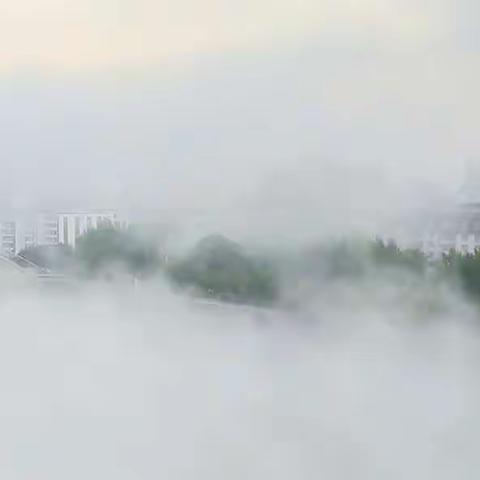 一场很有特点的晨雾