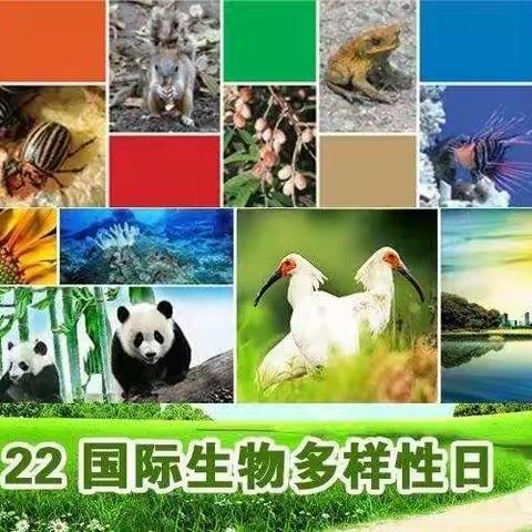 万物皆有灵，多样你我——生物多样性的保护与利用     槐阳中学主题班会