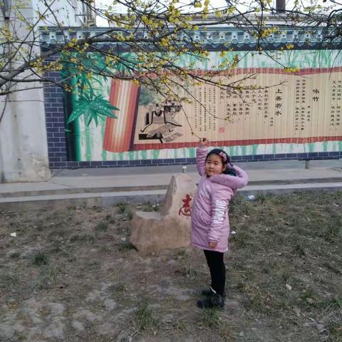 我家闺女在槐阳中学观迎春花