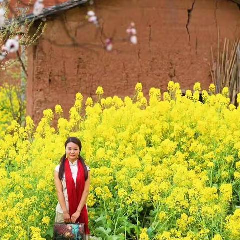 飞花点翠春风怨