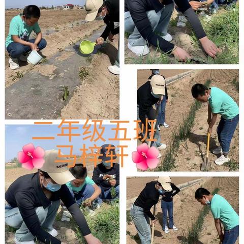 【七彩🌈 家校】——灵武市第七小学二年级（5）班《家务劳动我能行，劳动我光荣》