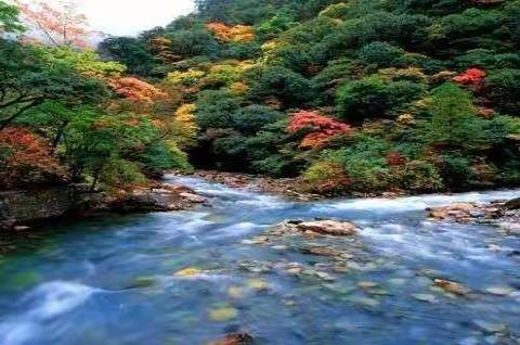 秋        川西在招唤