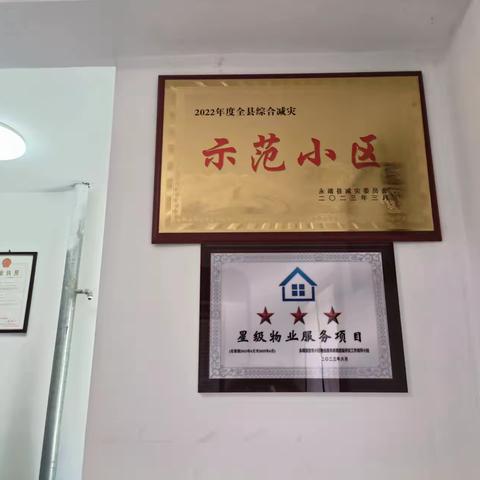 尤尤的美篇
