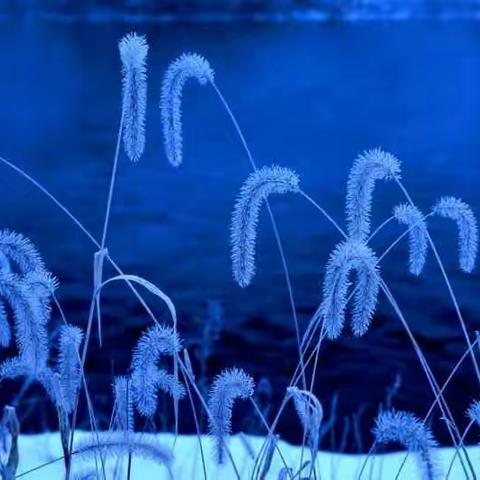 观五大连池《山口湖》雾淞感怀
