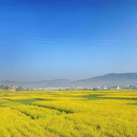 “遇见花开，‘幼’见你”丙麻乡幼儿园春游踏青活动