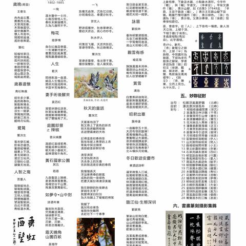 美国亚特兰大<新报>副刊<萃云轩>周刊总第156期