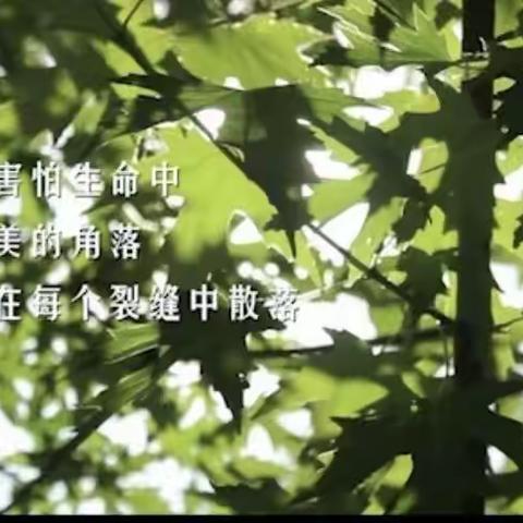 芊奕：到底如何获得快乐呢？