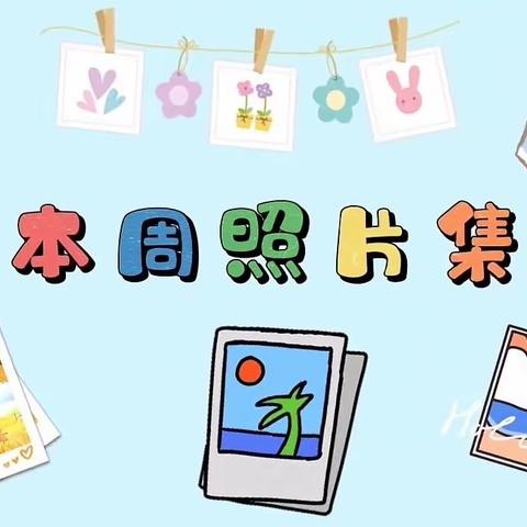 🌼哈乐早教🌼乐乐班～🎉第十六周🎉精彩瞬间