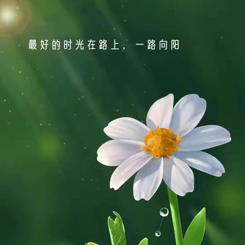 市直一幼小五班童言童语🎊音乐活动——《我家有几口》（第2期）