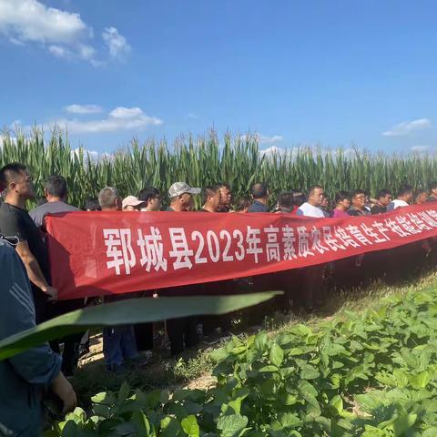 郓城县2023年高素质农民培育大豆、玉米复合种植培训专项行动