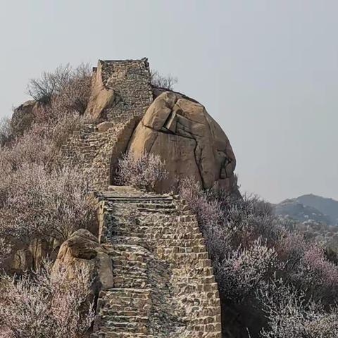 龙泉峪长城-香屯穿越~