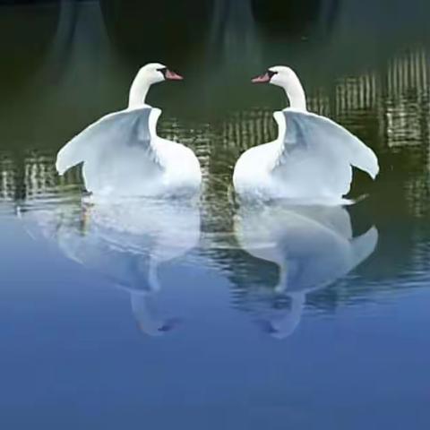 陪伴
