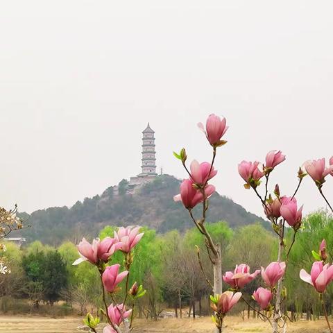 玉东郊野（两山）公园