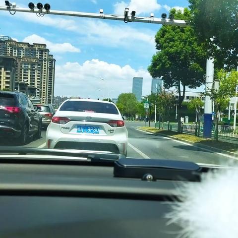 恩聿的成长——我的消暑小令