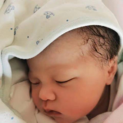 聿言的成长21
