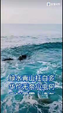 毛泽东诗词    二首