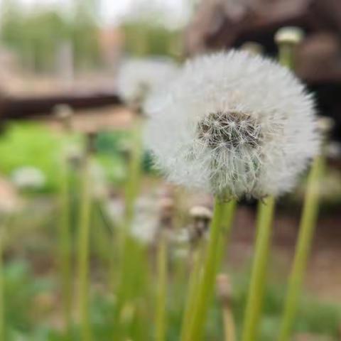 让爱一直延续——城西浮来送教纪实