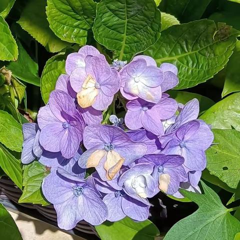 从化一游，快乐又一天！🌹🌹🌹🌈🌈🌈