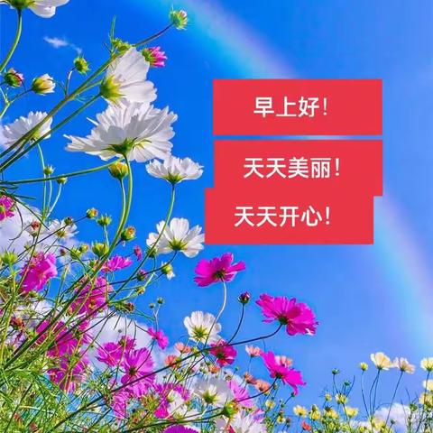 忘记年龄，做最好的自己！🌹🌹🌹