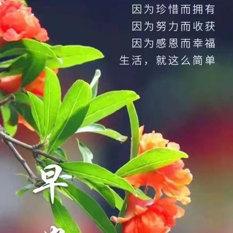 让安康与快乐伴随着我们一路同行！🌈🌹🌈