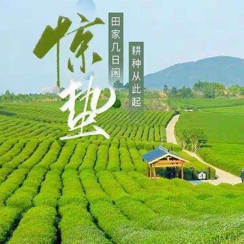 大家好！感恩每一天的平安，珍惜每一日的美好！🌈🌹❤🙏