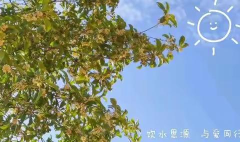 "艺"心向党，“画”说未来，———富宁县思源实验学校2022年春季学期美术作品，﻿成果展