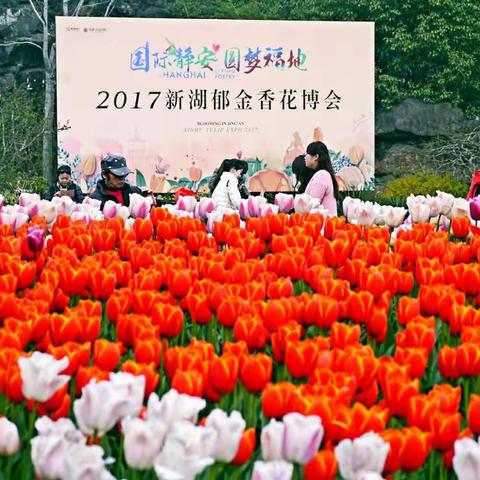 2017新湖郁金香花博会