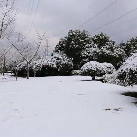 小区雪景