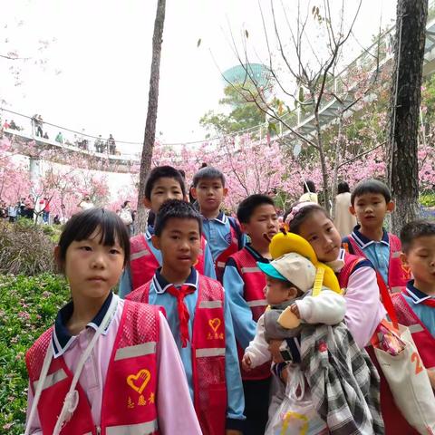 《学海阁》读书会第28期户外研学厦门山海健康步道——阅读与樱花撞个满怀及学习雷锋好榜样，践行文明新时尚